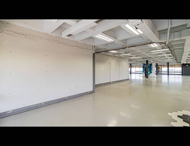 835M² OFFICE TO LET IN AUCKLAND PARK